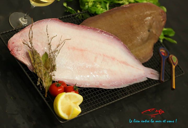 Sole Bretonne 