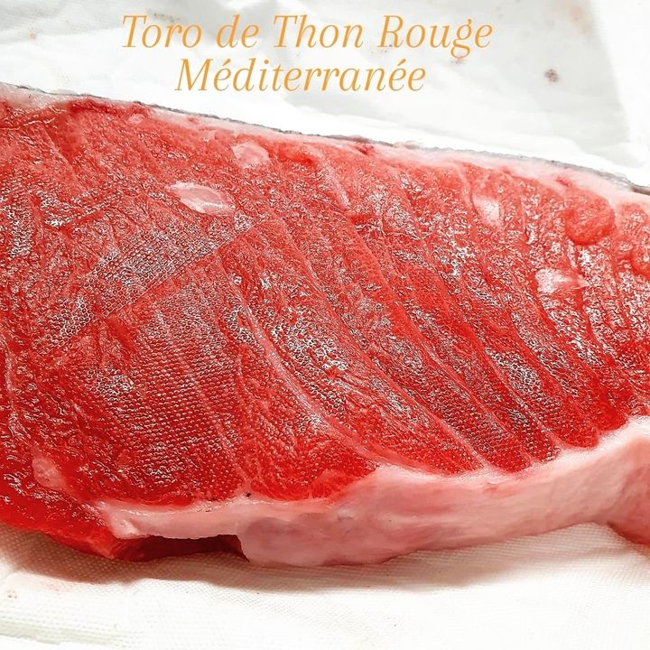 Le Toro ( ventrèche) de Thon Rouge  Méditerranée . Produit exceptionnel. Arrivage cette nuit #tracabilite #foodsecurity #sashimi #monaco  #catering #delivery #poissonnerie #sashimilover #yachtlife #bluefintuna #monacolife